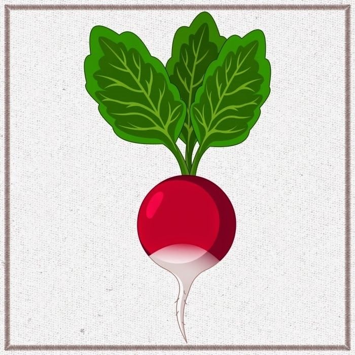 Редиска картина для детей