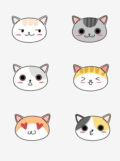 Мордочка кота легко
