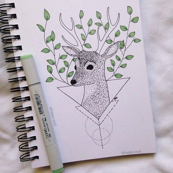 Рисунки для скетч Букка