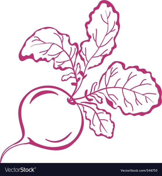 Лист свеклы