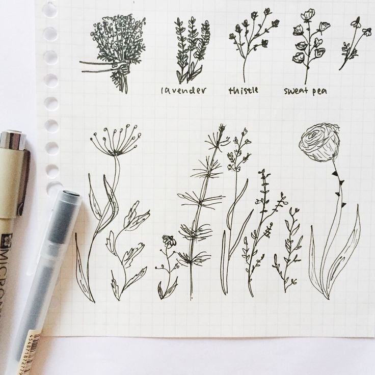Рисуночки Bullet Journal