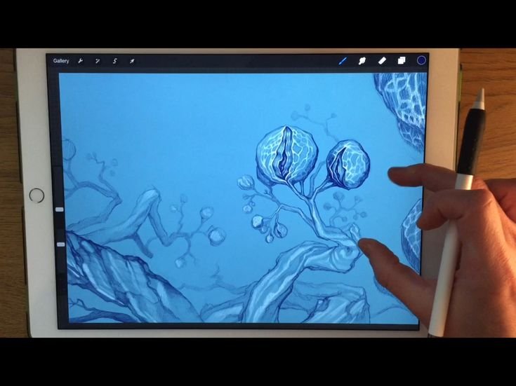 IPAD Pro Procreate