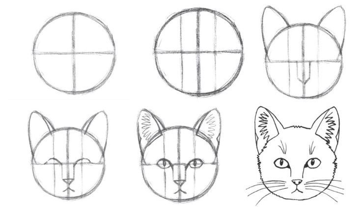 Морда кота рисунок