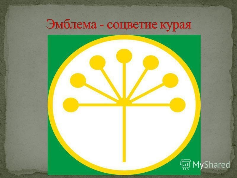 Курай цветок Башкирии