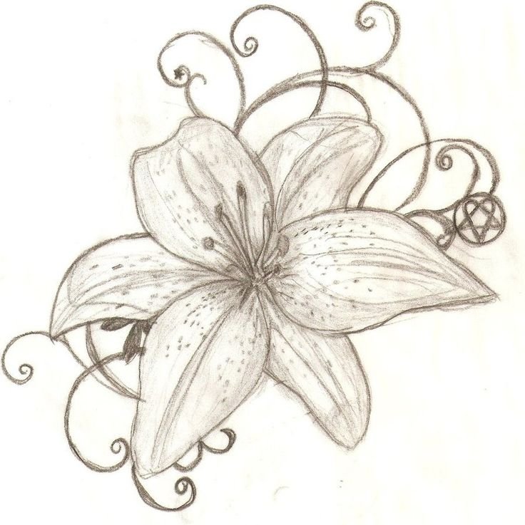 Рисунки цветов