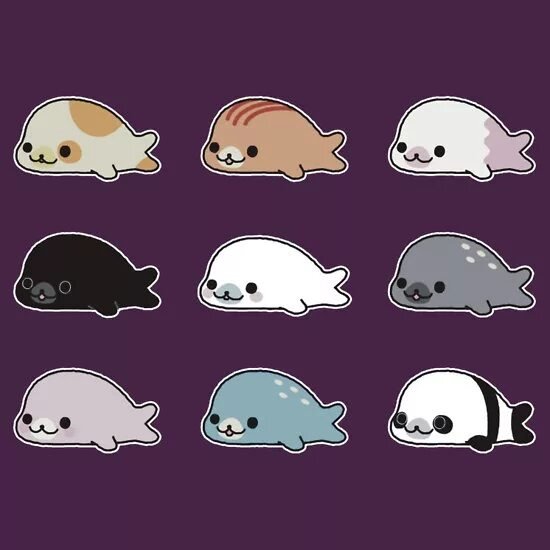 Кавайные морские котики
