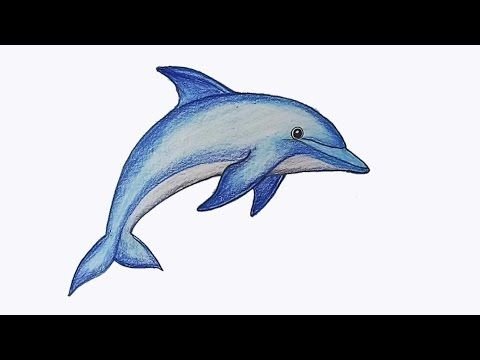 Дельфины рисунок для срисовки