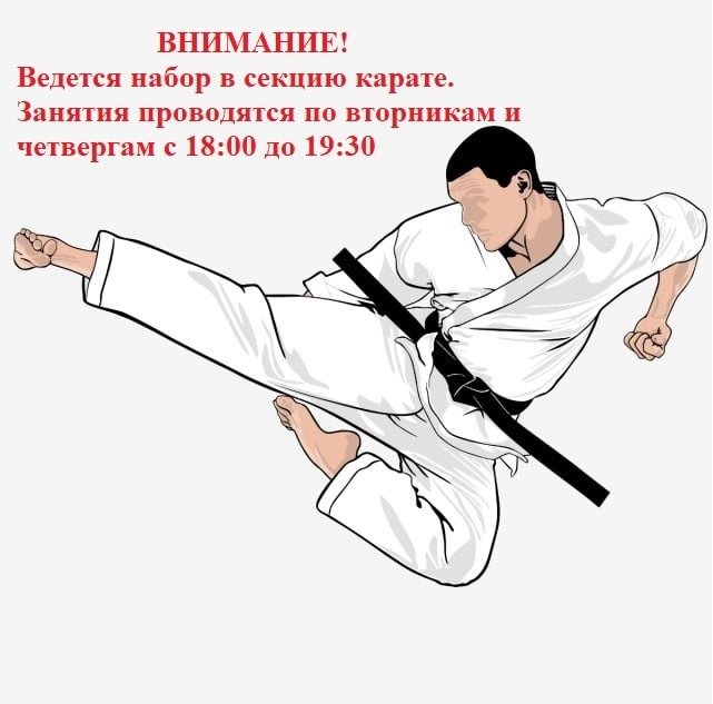 Каратист