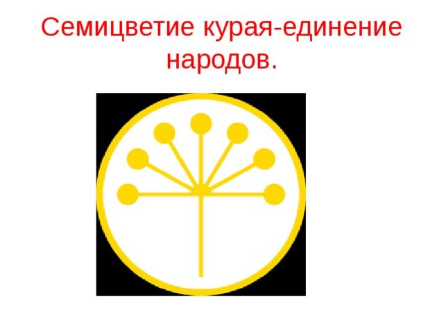 Цветок курая символ Башкортостана