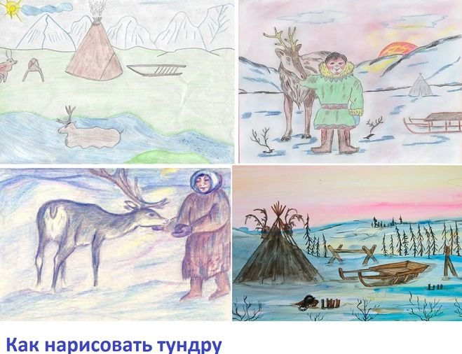 Тундра рисунок легкий