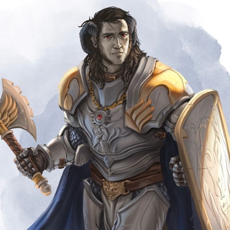 Paladin ГЕРОИЭ