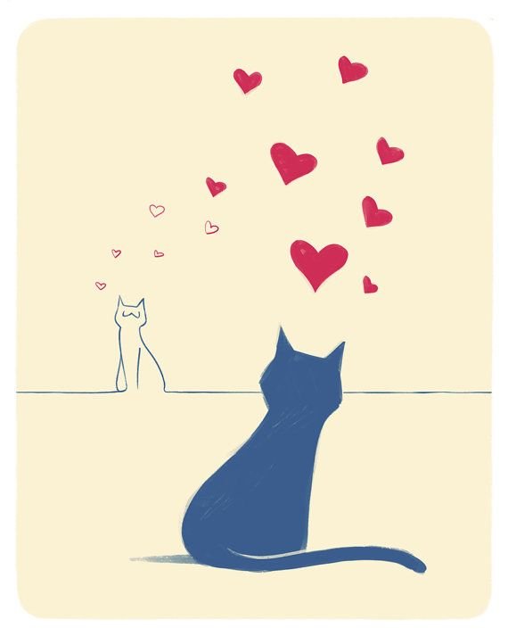 Коты любовь