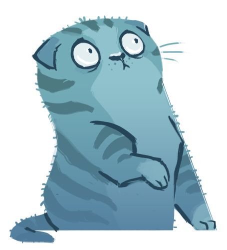 Удивленный кот