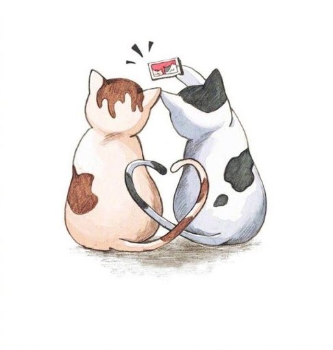Милые котики мультяшные