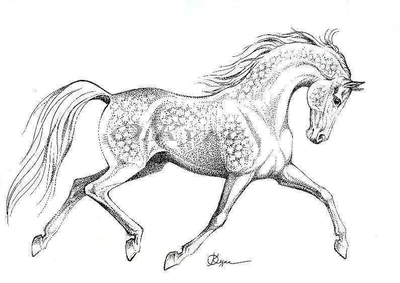Лошадь рисунок карандашом