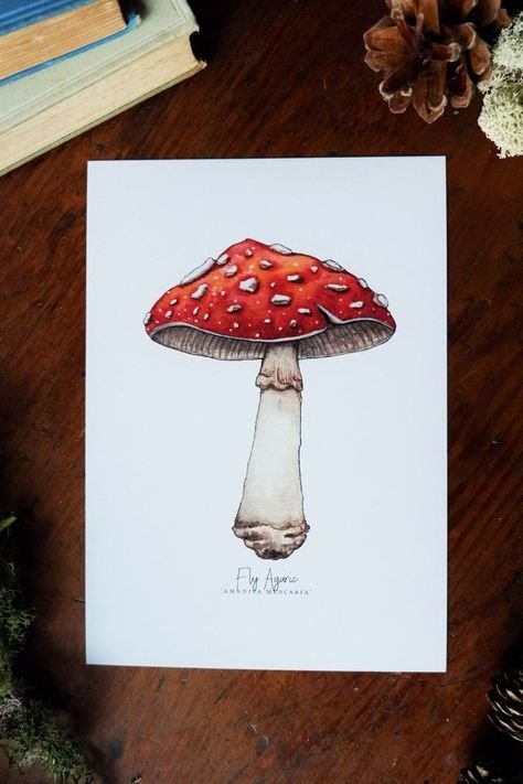 Мухомор рисунок