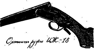 Обрез ИЖ 43 чертеж