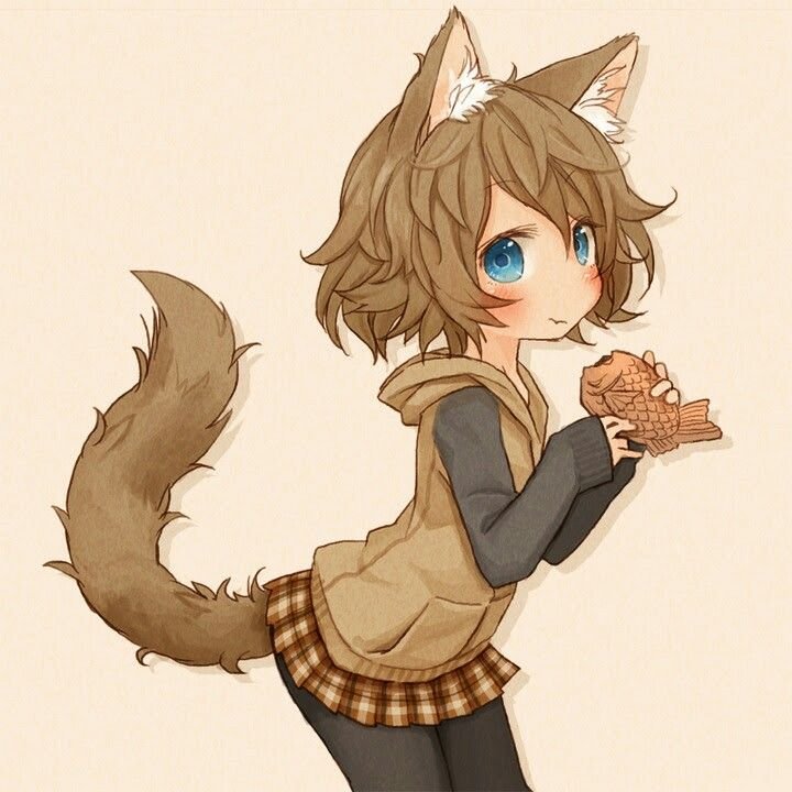 Фурри кошка