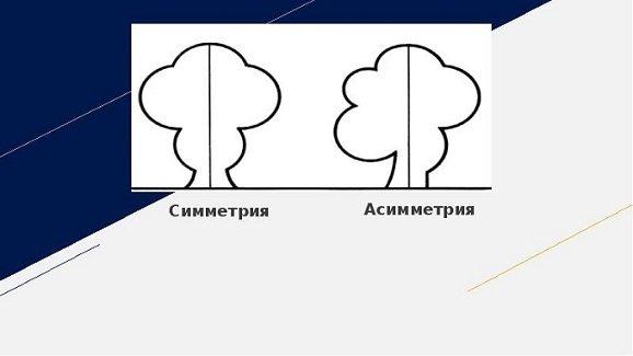 Симметричный и асимметричный рисунок