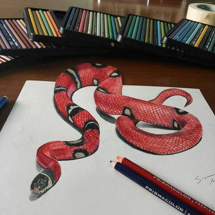 Удав