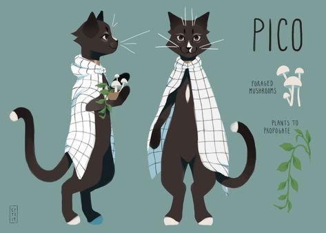 Anthro Cat little
