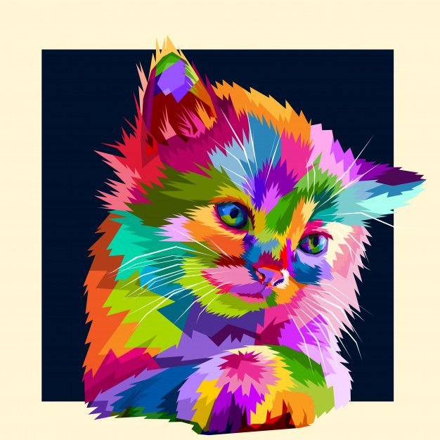 Разноцветный кот