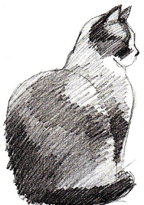 Рисунки штриховкой
