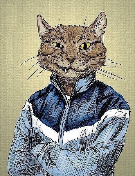 Веловнк с головой кота