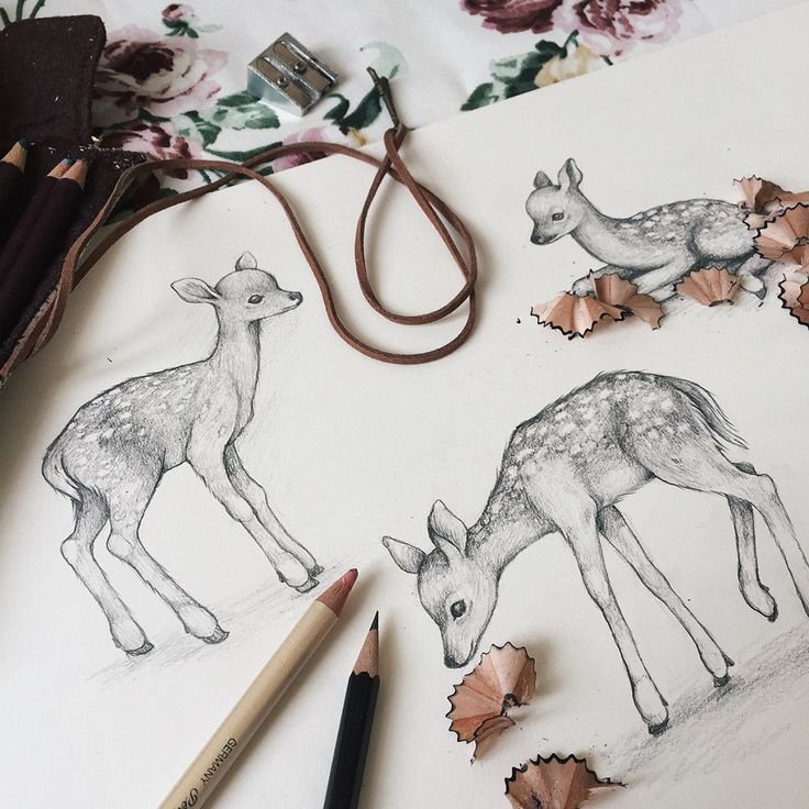 Рисунки животных в скетчбуке