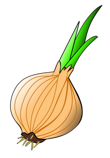 Лук маленький