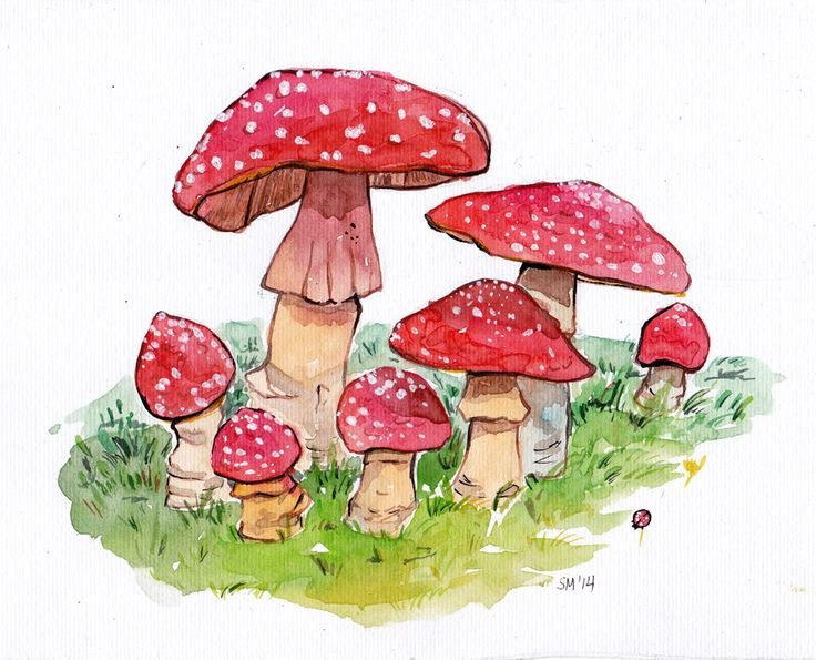 Рисование грибы