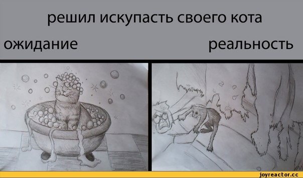 Рисунок ожидание и реальность