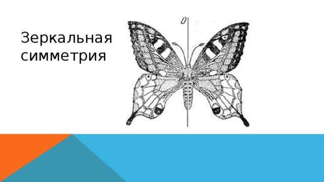 Зеркальная симметрия композиция