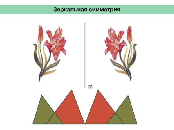 Зеркальная симметрия рисунки
