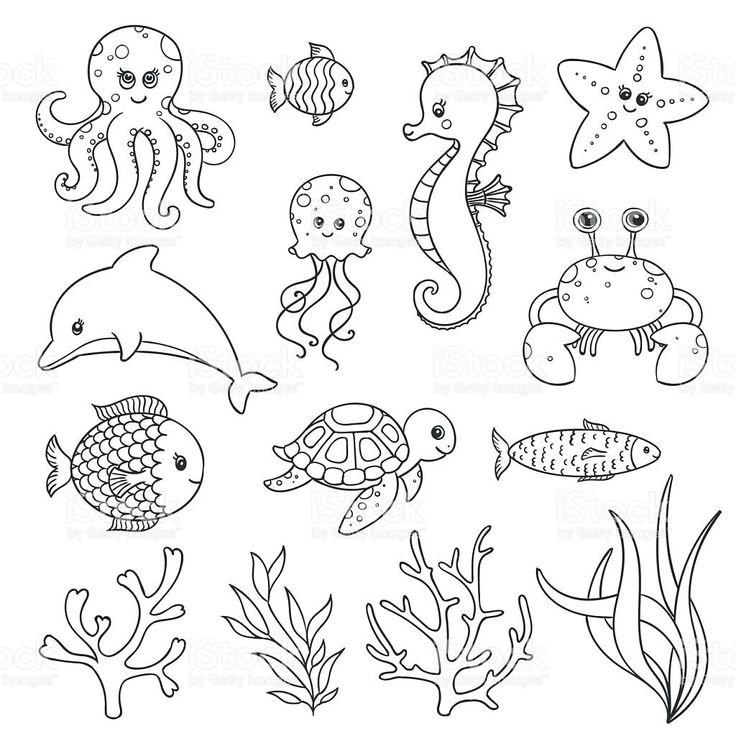 Рисование морские обитатели