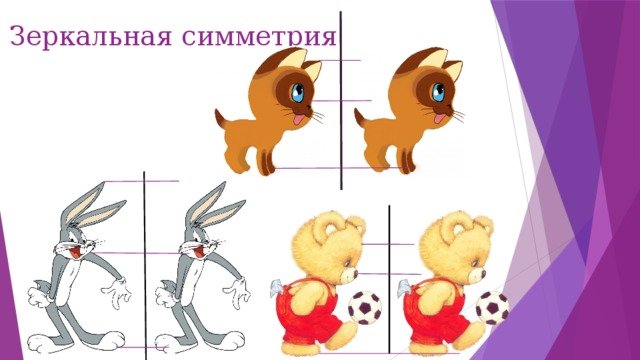 Симметрия для дошкольников