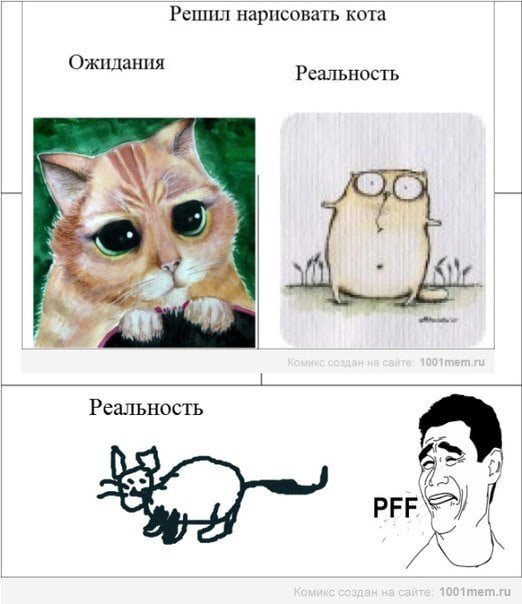 Мемы с котиками