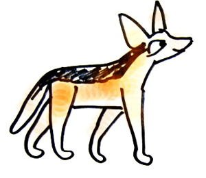 Шакал рисунок лёгкий
