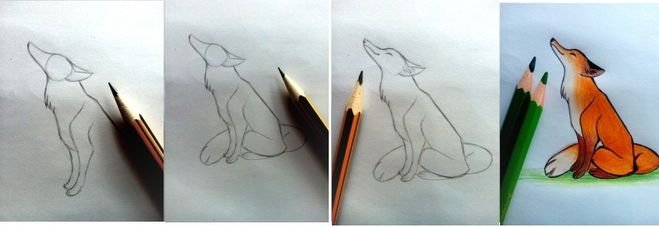 Лиса рисунок карандашом для срисовки