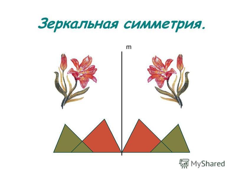 Зеркальная симметрия