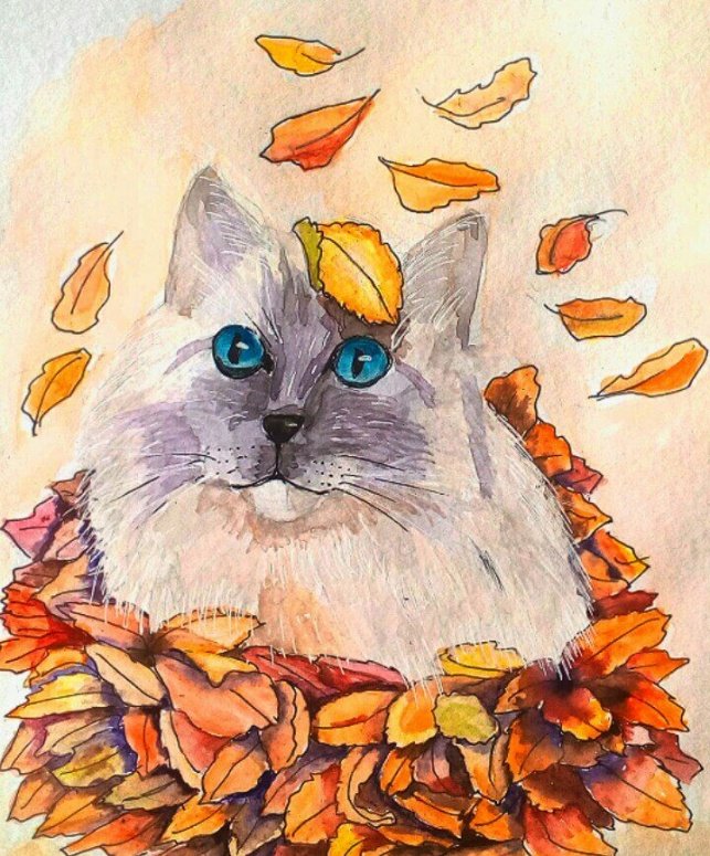 Осенний кот рисунок