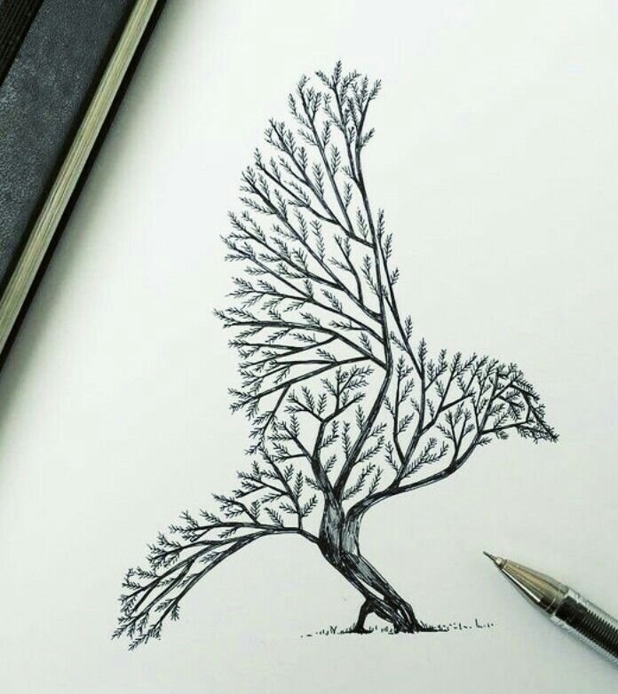 Ветка