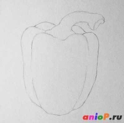 Перец рисунок карандашом