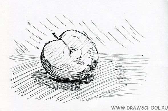 Рисунок штрихом для начинающих