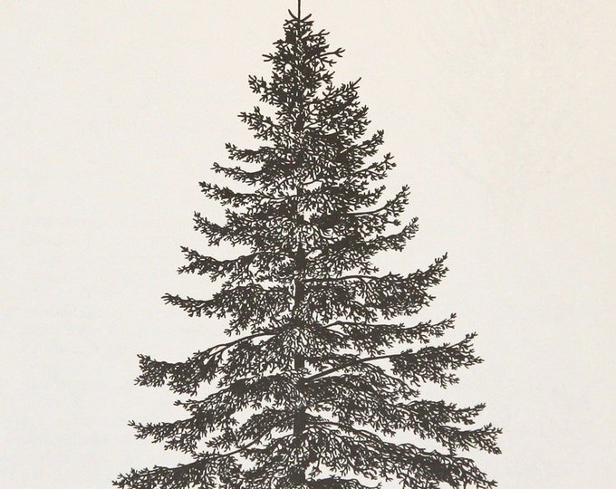 Ель в графике