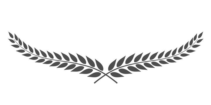Тату ветвь Лавра