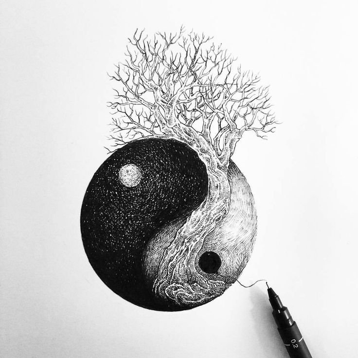 Инь Янь рисунок