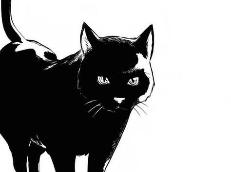 Черная кошка рисунок