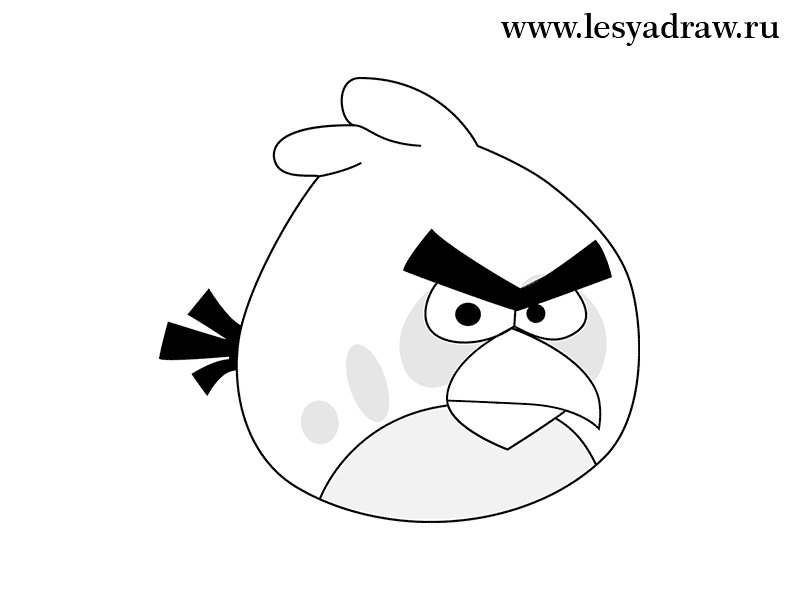 Angry Birds раскраска
