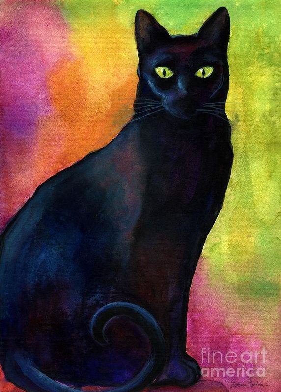 Кот гуашью